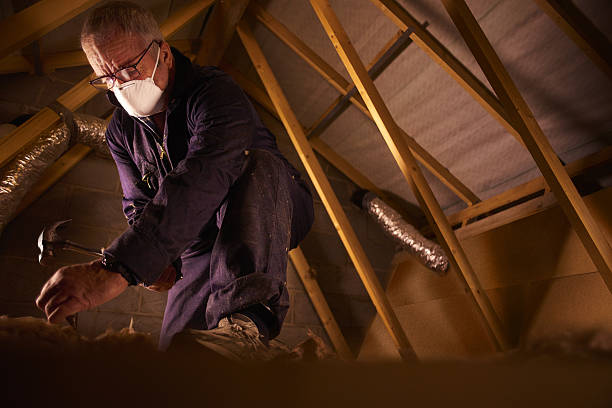 Best Specialty Insulation in North Tunica, MS